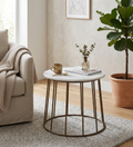 Zenviro Marble Coffee Table